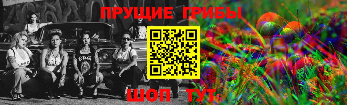 Псилоцибиновые грибы Cubensis  Вход с VPN  Дубна 